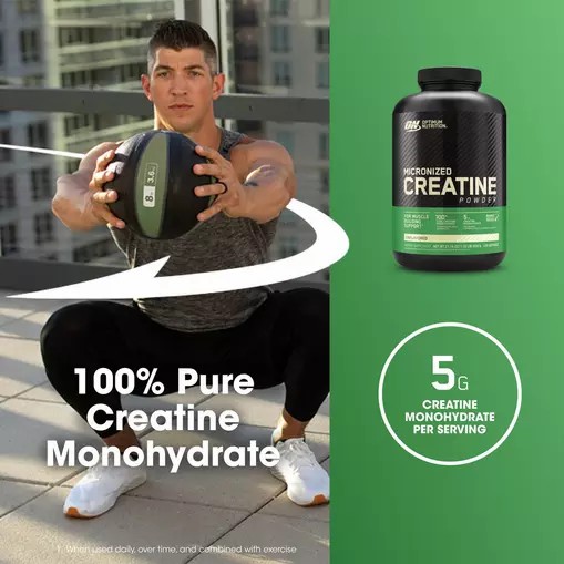 Optimum Nutrition Micronized Creatine Powder Unflavored 1.32 lb (120 Servings) Colombia | 3751KPNOJ
